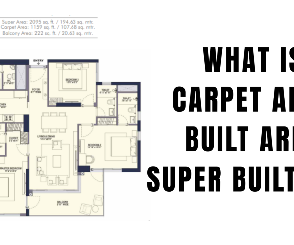 Carpet Area, built-up area, and Super built-up Area
